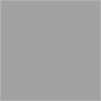 Пояс атлетический широкий коричневый FGT, PU, размер 3XL