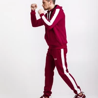 Теплый мужской спортивный костюм, бордовая худи и бордовые спортивные штаны с лампасами (с любым лого бренда)