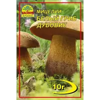 Белый гриб Дубовик 10 г